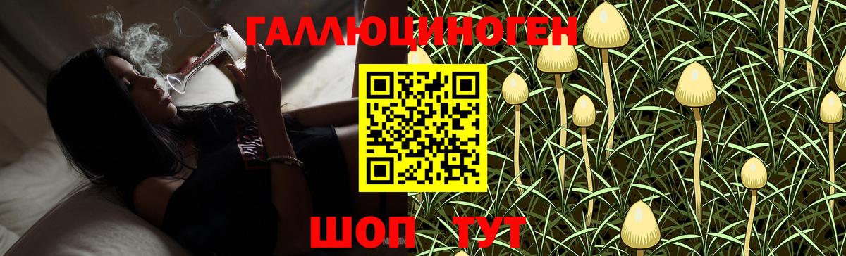 Галлюциногенные грибы GOLDEN TEACHER  Галлюциногенные грибы ЛСД  купить наркоту  Кизляр  Вход с VPN 
