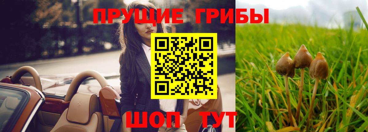Псилоцибиновые грибы ЛСД Кизляр